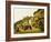 Landscape-Gerry Embleton-Framed Giclee Print