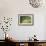 Landscape-Federico Zandomeneghi-Framed Giclee Print displayed on a wall