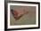 Landscape-Albert Bierstadt-Framed Giclee Print