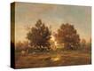 Stretched Canvas Print