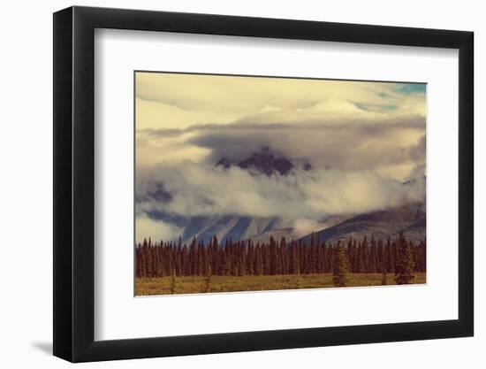 Landscapes on Denali Highway, Alaska. Instagram Filter.-Andrushko Galyna-Framed Photographic Print