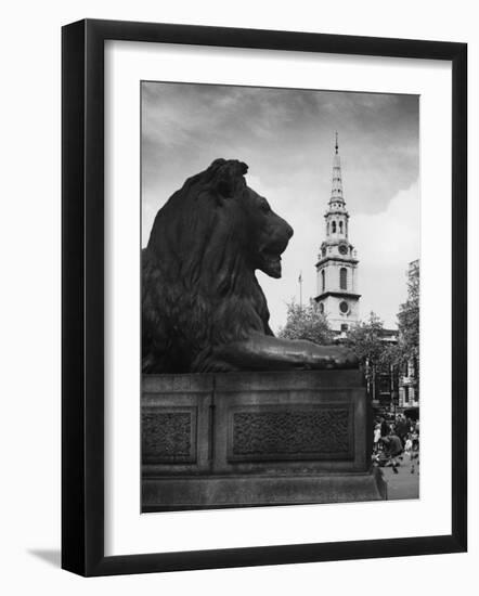 Landseer Lion-null-Framed Photographic Print