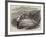 Landslip Near Minster, Isle of Sheppey, Kent-null-Framed Giclee Print