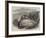 Landslip Near Minster, Isle of Sheppey, Kent-null-Framed Giclee Print