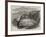 Landslip Near Minster, Isle of Sheppey, Kent-null-Framed Giclee Print