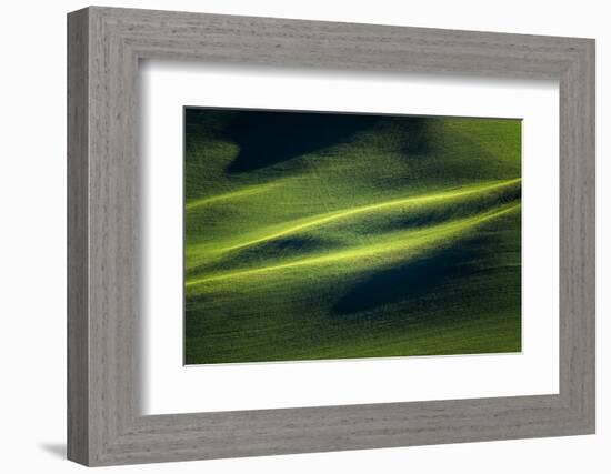 Landwriting 3-Ursula Abresch-Framed Photographic Print