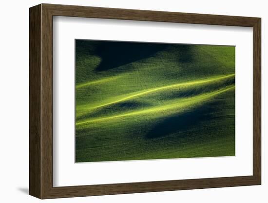 Landwriting 3-Ursula Abresch-Framed Photographic Print