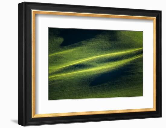 Landwriting 3-Ursula Abresch-Framed Photographic Print