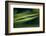 Landwriting 3-Ursula Abresch-Framed Photographic Print