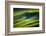 Landwriting 4-Ursula Abresch-Framed Photographic Print