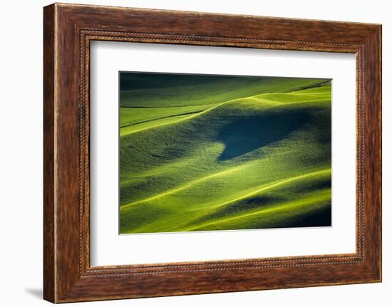 Landwriting 4-Ursula Abresch-Framed Photographic Print