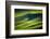 Landwriting 4-Ursula Abresch-Framed Photographic Print