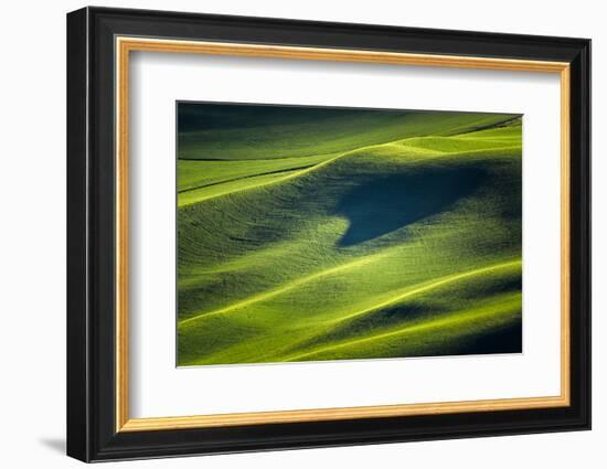 Landwriting 4-Ursula Abresch-Framed Photographic Print