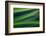 Landwriting 5-Ursula Abresch-Framed Photographic Print