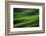 Landwriting 6-Ursula Abresch-Framed Photographic Print