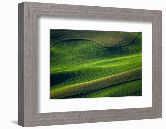 Landwriting 6-Ursula Abresch-Framed Photographic Print