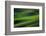 Landwriting 6-Ursula Abresch-Framed Photographic Print