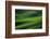 Landwriting 6-Ursula Abresch-Framed Photographic Print