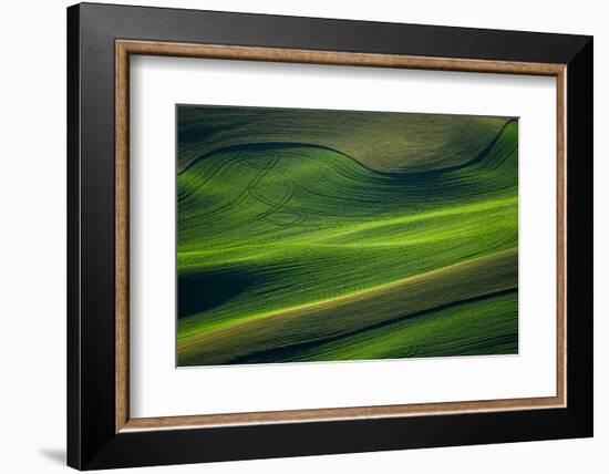 Landwriting 6-Ursula Abresch-Framed Photographic Print