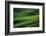 Landwriting 6-Ursula Abresch-Framed Photographic Print