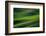 Landwriting 6-Ursula Abresch-Framed Photographic Print