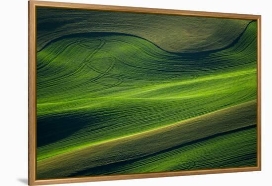 Landwriting 6-Ursula Abresch-Framed Premier Image Canvas