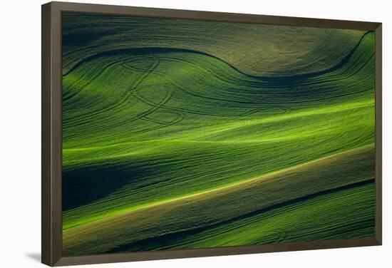 Landwriting 6-Ursula Abresch-Framed Premier Image Canvas