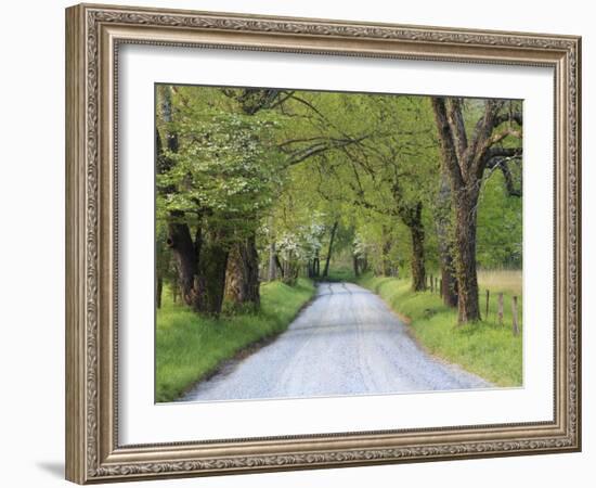 Lane at Cades Cove in the Spring in the Smoky Mountains National Park, Tennessee, Usa-Joanne Wells-Framed Photographic Print