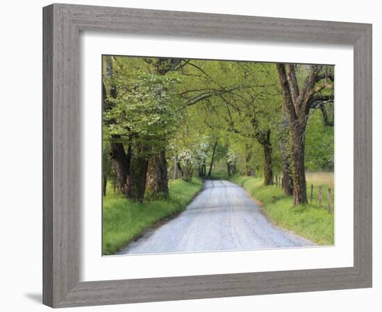 Lane at Cades Cove in the Spring in the Smoky Mountains National Park, Tennessee, Usa-Joanne Wells-Framed Photographic Print