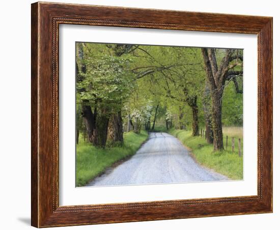 Lane at Cades Cove in the Spring in the Smoky Mountains National Park, Tennessee, Usa-Joanne Wells-Framed Photographic Print