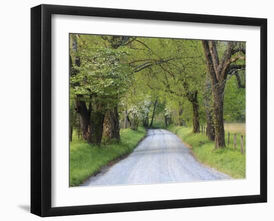 Lane at Cades Cove in the Spring in the Smoky Mountains National Park, Tennessee, Usa-Joanne Wells-Framed Photographic Print