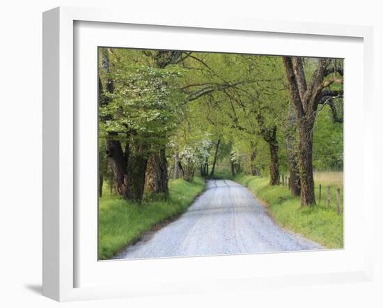 Lane at Cades Cove in the Spring in the Smoky Mountains National Park, Tennessee, Usa-Joanne Wells-Framed Photographic Print