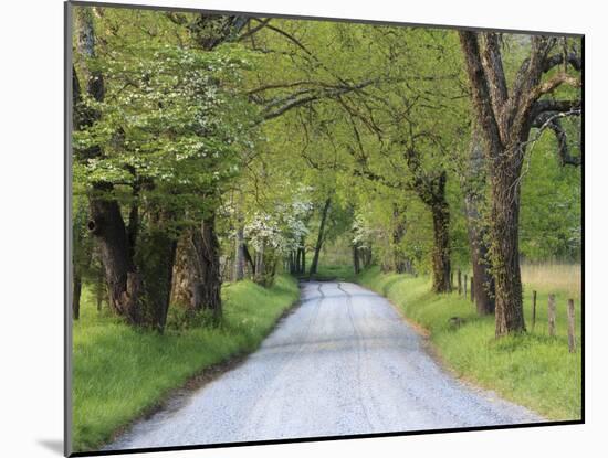 Lane at Cades Cove in the Spring in the Smoky Mountains National Park, Tennessee, Usa-Joanne Wells-Mounted Photographic Print