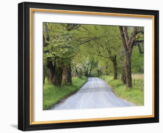 Lane at Cades Cove in the Spring in the Smoky Mountains National Park, Tennessee, Usa-Joanne Wells-Framed Photographic Print