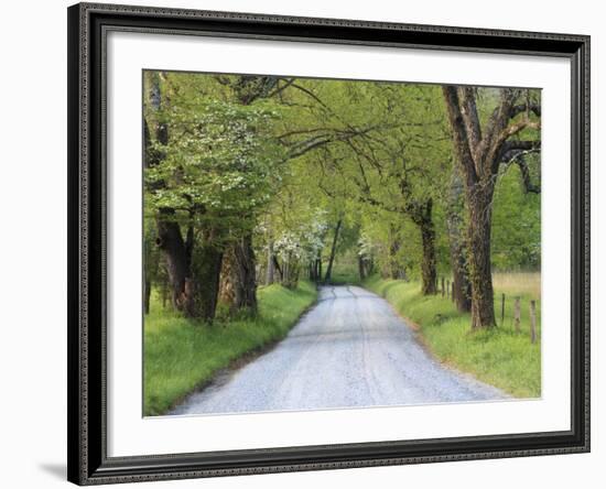 Lane at Cades Cove in the Spring in the Smoky Mountains National Park, Tennessee, Usa-Joanne Wells-Framed Photographic Print