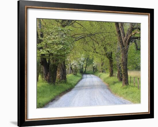 Lane at Cades Cove in the Spring in the Smoky Mountains National Park, Tennessee, Usa-Joanne Wells-Framed Photographic Print