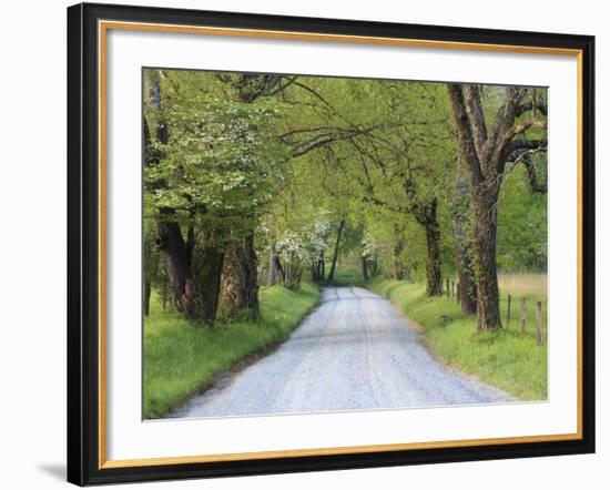 Lane at Cades Cove in the Spring in the Smoky Mountains National Park, Tennessee, Usa-Joanne Wells-Framed Photographic Print