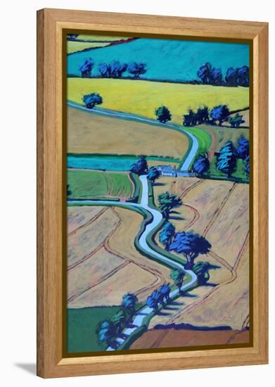 Lane in summer close up 1-Paul Powis-Framed Premier Image Canvas