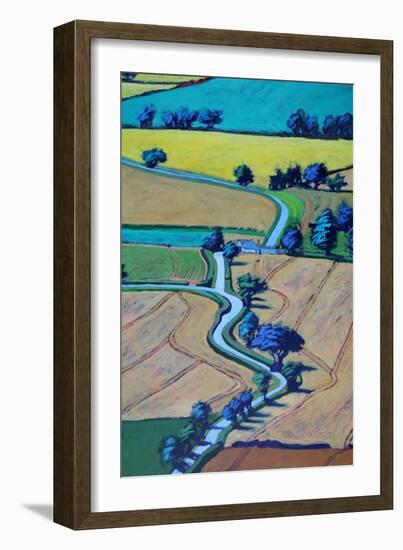 Lane in summer close up 1-Paul Powis-Framed Giclee Print
