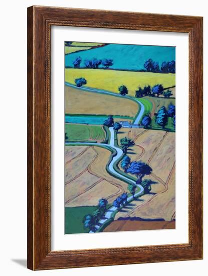Lane in summer close up 1-Paul Powis-Framed Giclee Print