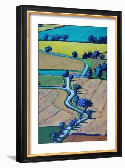 Lane in summer close up 1-Paul Powis-Framed Giclee Print