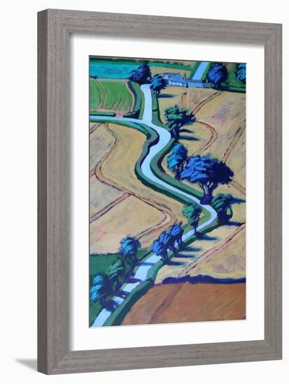 Lane in summer close up 2-Paul Powis-Framed Giclee Print