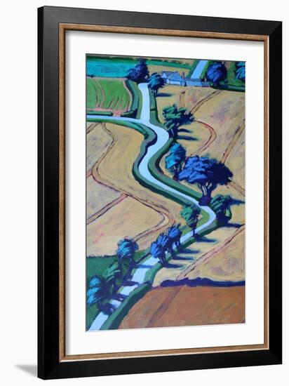Lane in summer close up 2-Paul Powis-Framed Giclee Print