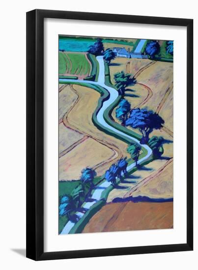 Lane in summer close up 2-Paul Powis-Framed Giclee Print