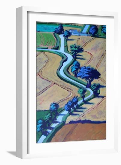 Lane in summer close up 2-Paul Powis-Framed Giclee Print