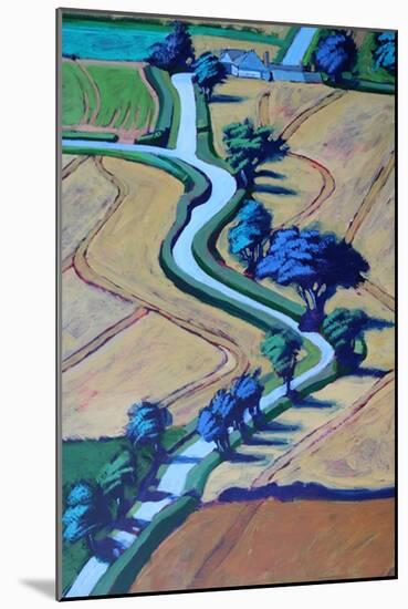 Lane in summer close up 2-Paul Powis-Mounted Giclee Print