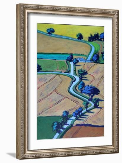 Lane in summer close up-Paul Powis-Framed Giclee Print