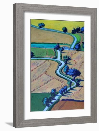 Lane in summer close up-Paul Powis-Framed Giclee Print