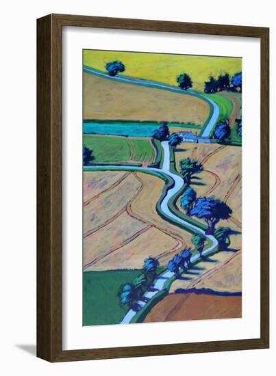 Lane in summer close up-Paul Powis-Framed Giclee Print