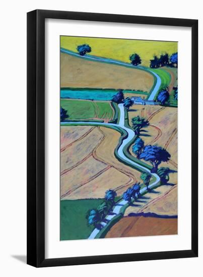 Lane in summer close up-Paul Powis-Framed Giclee Print